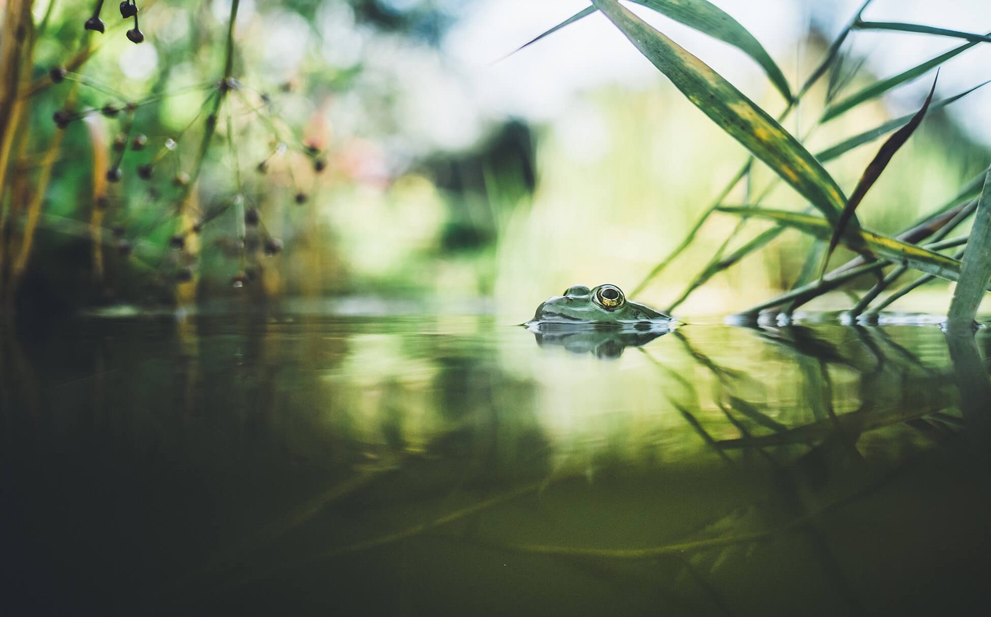 Systemische Therapie für Kinder und Jugendliche