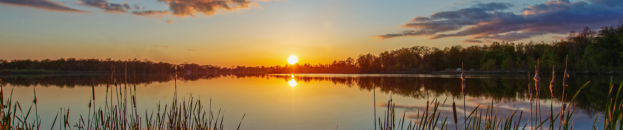 Systemische Beratung und Therapie für Paare
