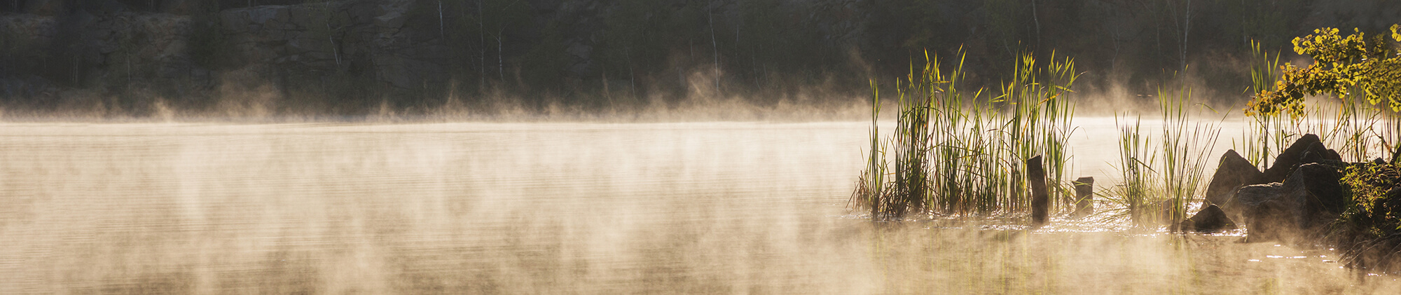 Beratung und Anleitung der Eltern