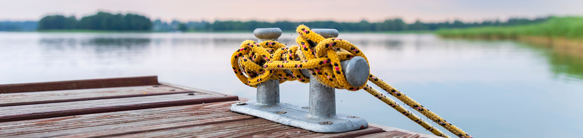 Systemische Therapie